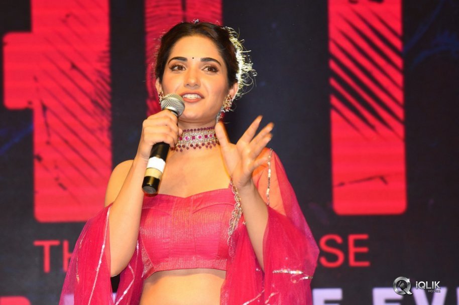 Hit-Movie-Pre-Release-Event-Vizag